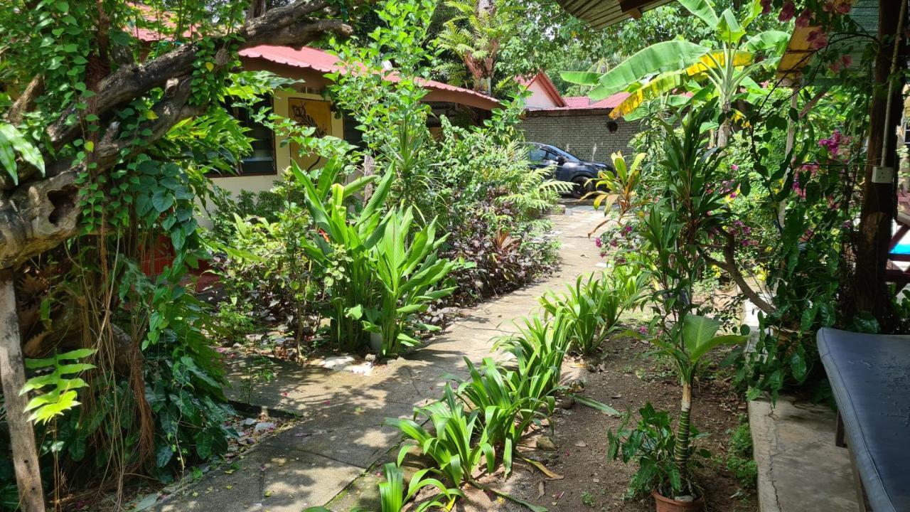 Gecko Guesthouse Pantai Cenang  Exterior foto