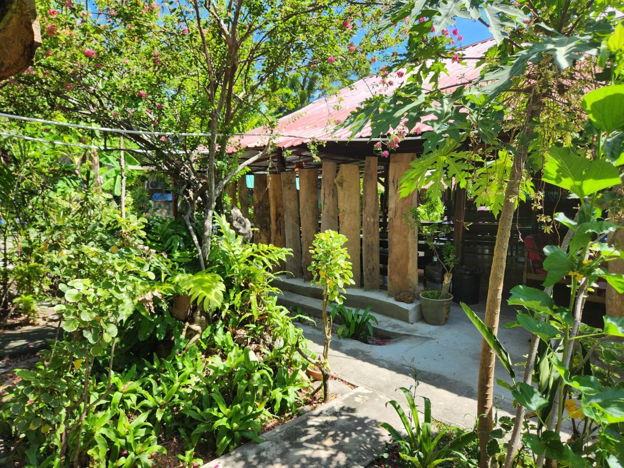 Gecko Guesthouse Pantai Cenang  Exterior foto