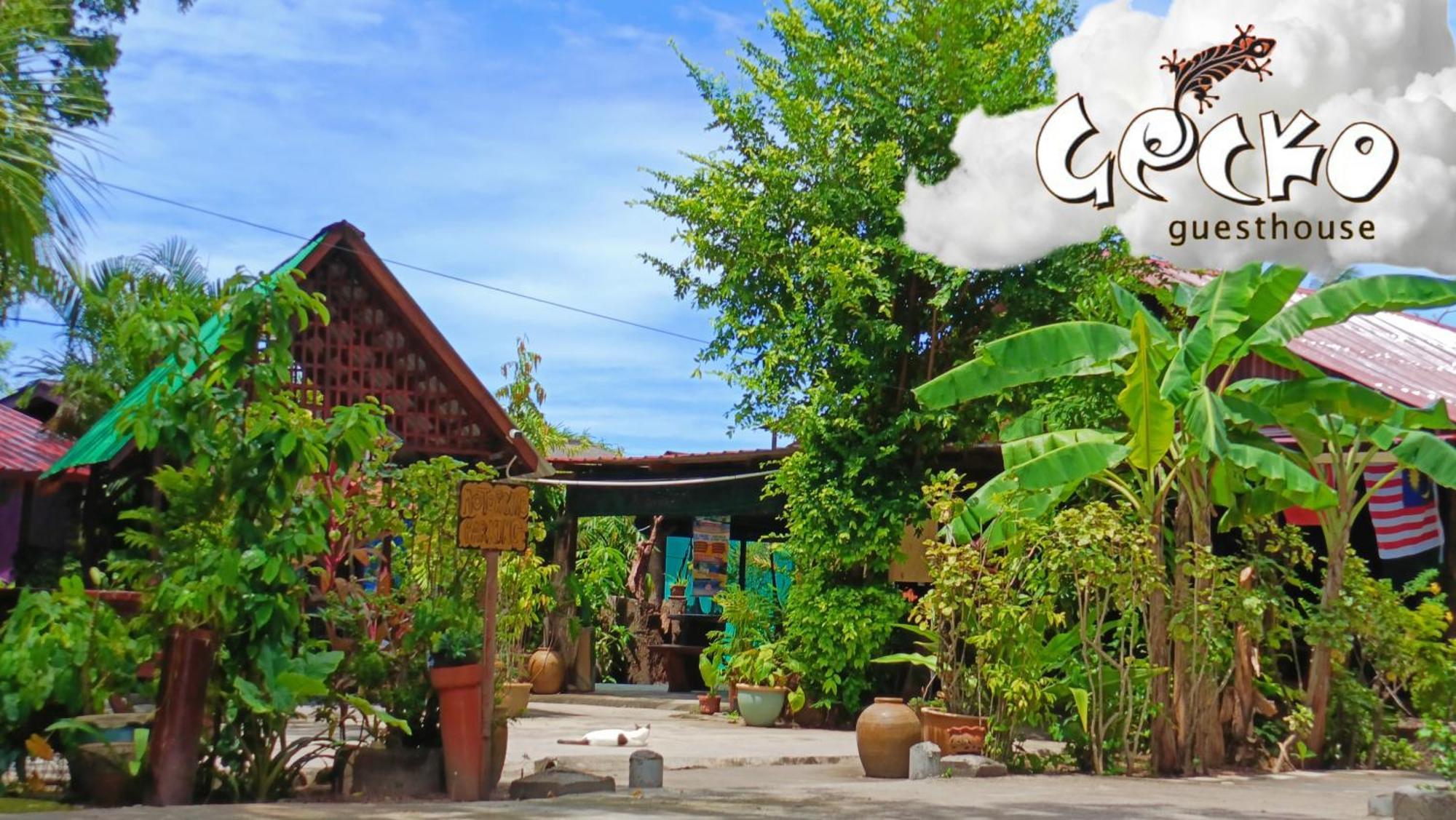 Gecko Guesthouse Pantai Cenang  Exterior foto