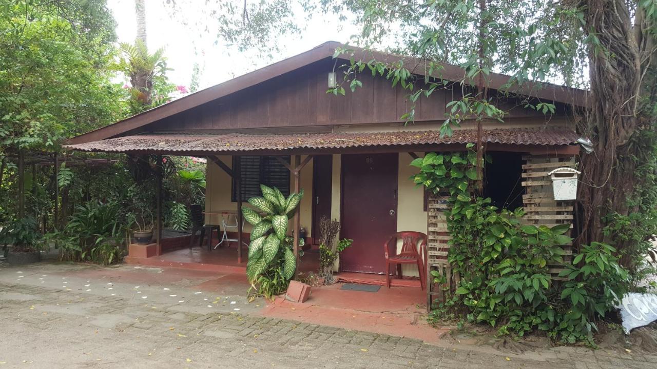 Gecko Guesthouse Pantai Cenang  Exterior foto